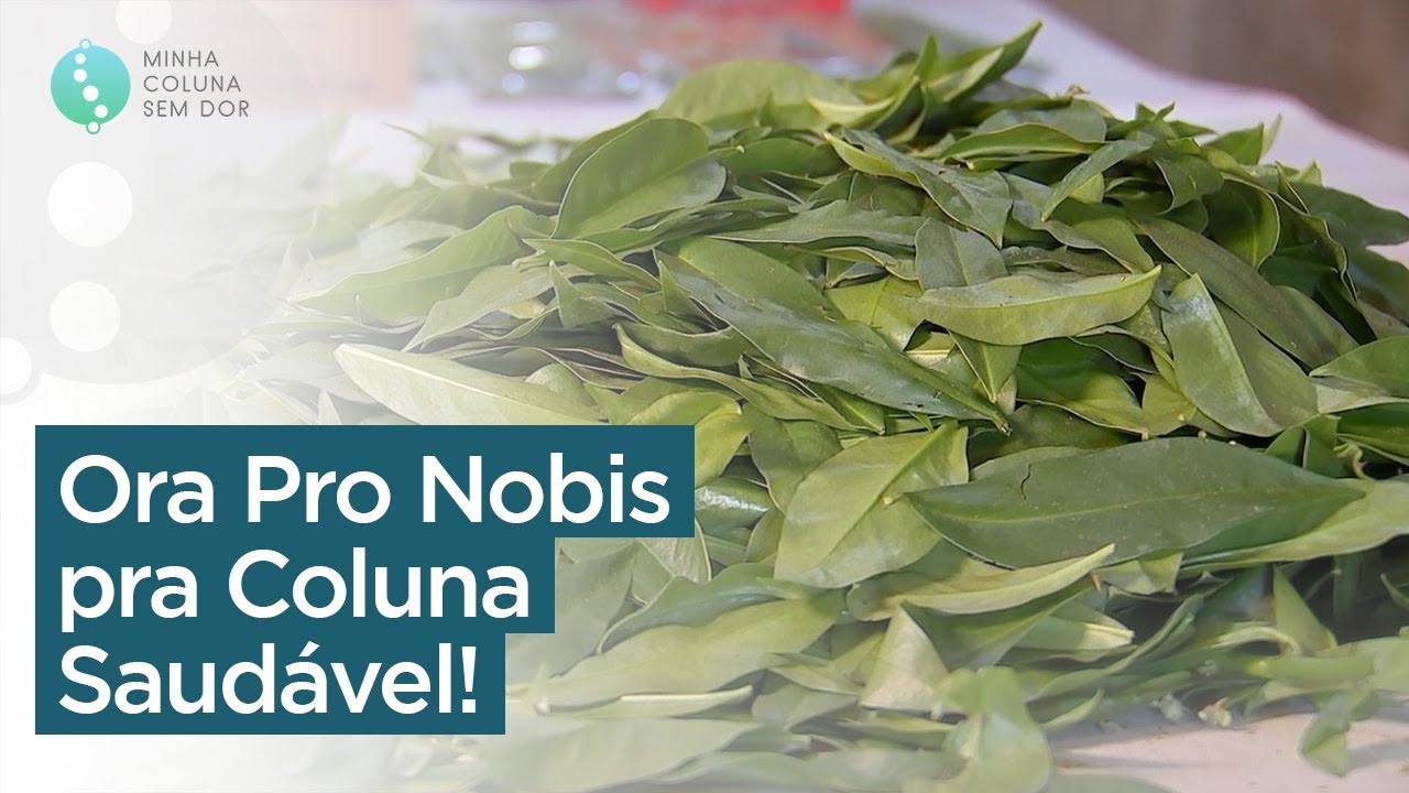 ORA PRO NOBIS PARA COLUNA SAUDÁVEL. Marcelo Garcia #colunaeficiente