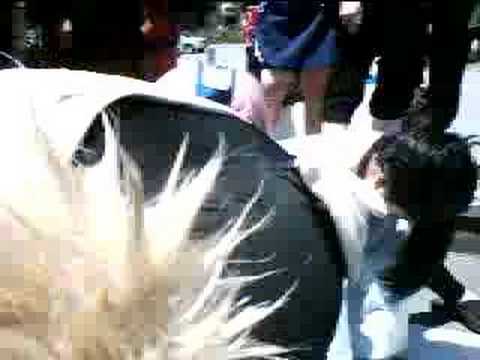 naruto gathering fanime 07  twister