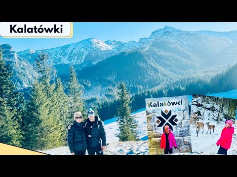 Zakopane 2026/Kalatówki blue trail, easy, short route 30 minutes, beautiful views, HIGHLY RECOMME...