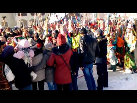 MALACA  DE LA RUGINOASA 2014 2015