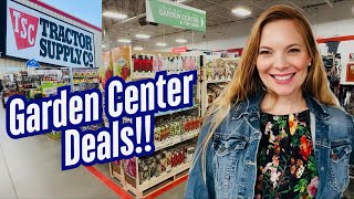 🌱Tractor Supply Garden Deals | Huge Selection of Seeds, Bare Root Shrubs, Bulbs And Fruit Trees