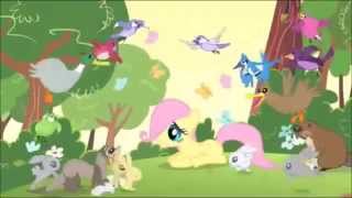 Fluttershy - Standing Out in a Crowd
