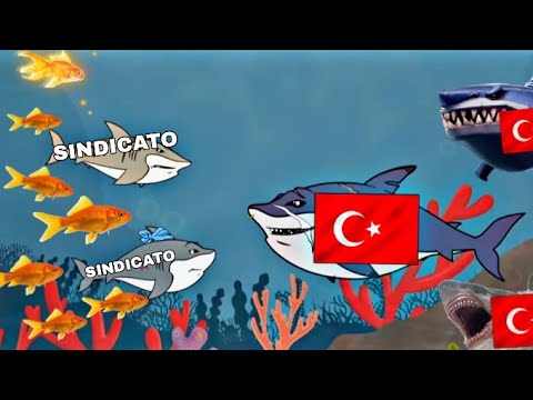 SINDICATO E PEIXE PEQUENO