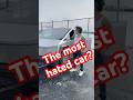Owning The Most Hated Car In The World Tesla Cybertruck Viralvideo