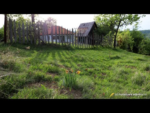 Vadu Dobrii, locul de poveste din Munții Poiana Ruscă