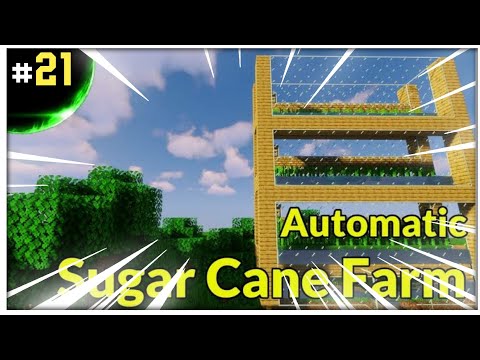 EPIC Minecraft Skyblock Sugar Cane Farm Build! 😱
