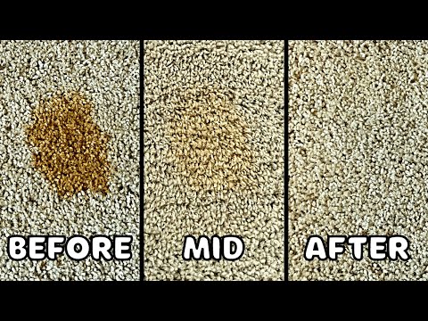 YouTube video about: How to remove yogurt stain from carpet?