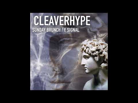 Cleaverhype - Y Signal (F3001)