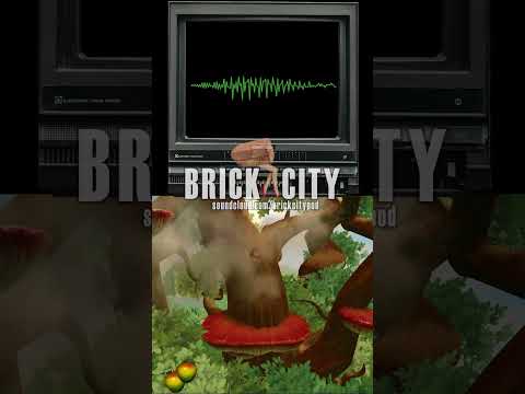 OUR FIRST EPISODE- Brick City Episode 1