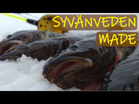 SYVÄNVEDEN MATIKKAA HUHTIKUUSSA PILKILLÄ - MADETTA KESKELLÄ PÄIVÄÄ