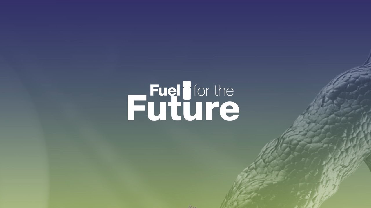 Optimizing real-time PCR performance | Fuel for the Future