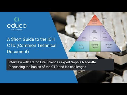 A Short Guide to the ICH CTD (Common Technical Document)