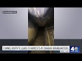 Secret Tunnel Discovery In NYC Synagogue Leads To Brawl With NYPD NBC New York