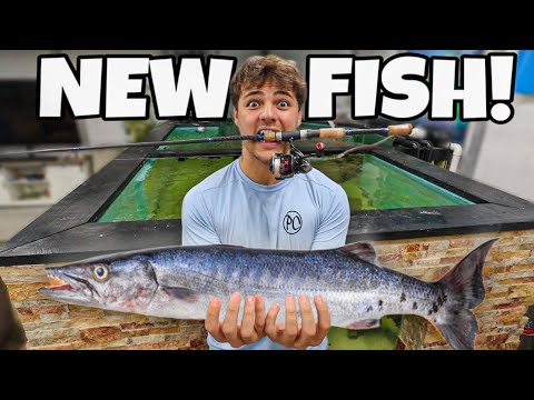 Catching My MOST AGGRESSIVE FISH for My SALTWATER POND!!