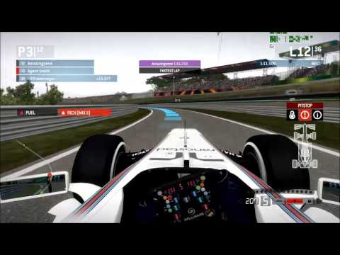 F1 2013 OSF1 Brazil rain Agent Smith