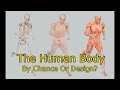 The Human Body Designed By Chance Or.