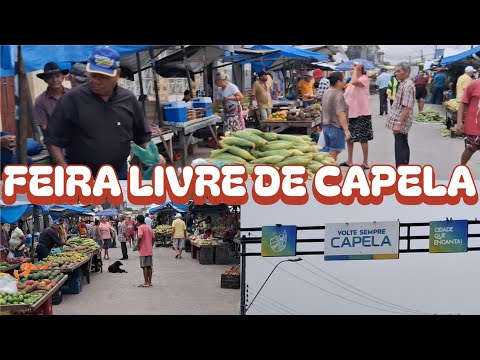 ​Feira Livre de Capela - Alagoas 2026! 🍍🌽