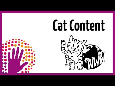 Cat Content- Why the Web loves cats so much