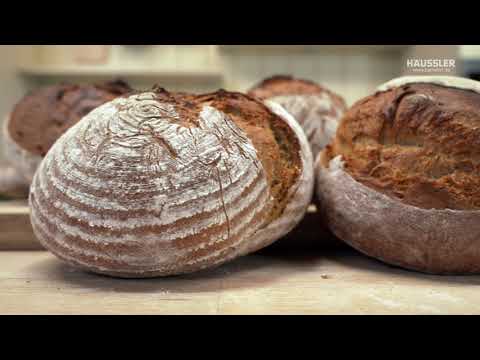 Brotteig formen – wie es gelingt!