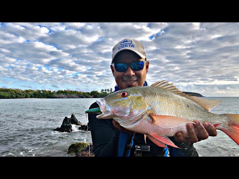 Fishing en Puerto Rico captura de sama 🇵🇷