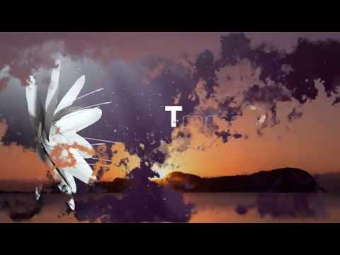 Manuel Le Saux & TrancEye - Endless Horizon (Original Mix) [Discover] Promo Video Edit