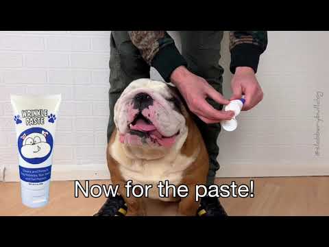 Squishface Wrinkle Paste How to Apply Video with @SlobberyBulldog