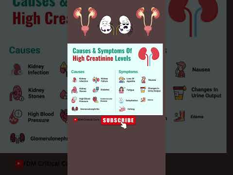Causes and Symptoms of High Creatinine Levels |Creatinine Test |Blood Test |Kidney Function Test