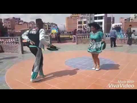 Salay los delfines del amor ft luz dani amor y pasion