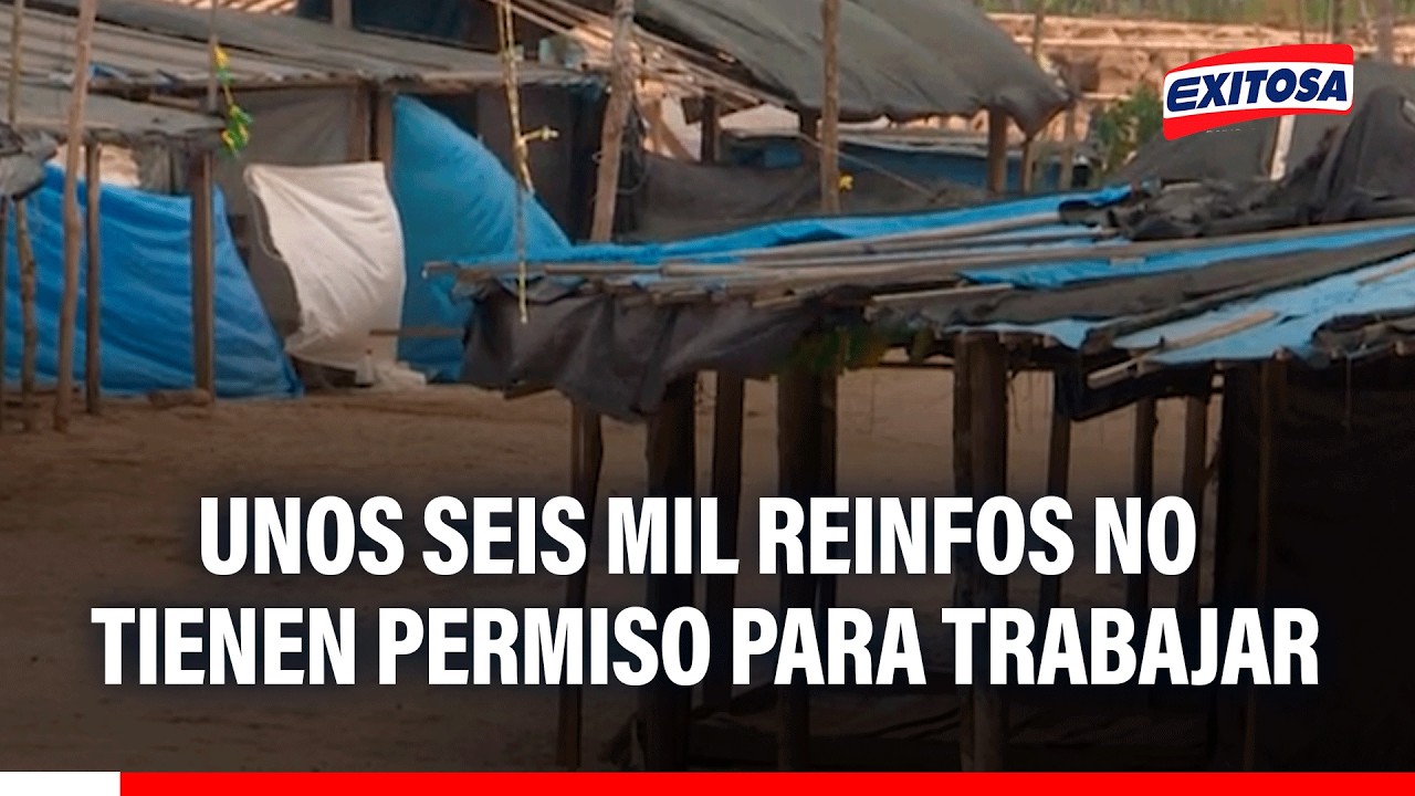 🔴🔵 6 mil mineros inscritos en el Reinfo no cuentan con permiso para trabajar, señala experto