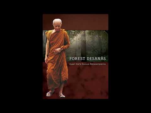 Forest Desanās Part 03 : The Guiding Principle
