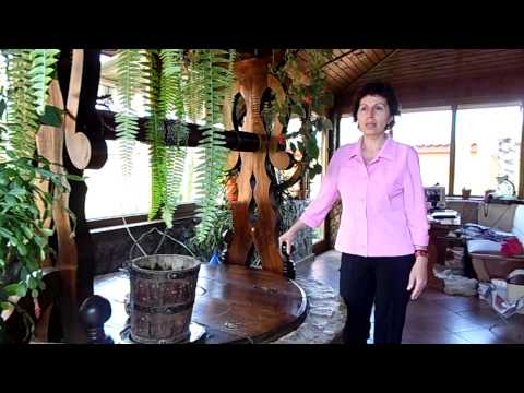 Pensiunea Andreea Baia de Fier