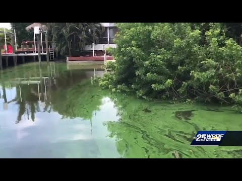 Toxic Puzzle” documentary shown on Treasure Coast