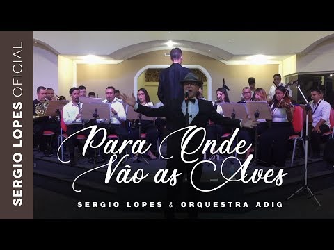 Para Onde Vão as Aves - Sergio Lopes & Orquestra ADIG