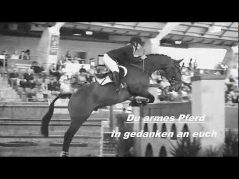 Du armes Pferd (contest)