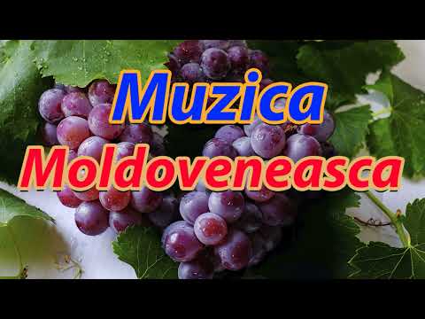 Drag mii cerul alb cu mii de stele și pământul pentru toate cele  Muzica MD