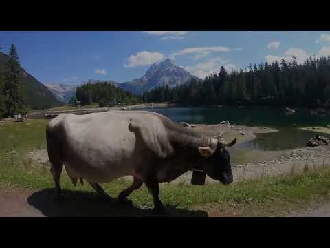 Fearless Hike to Arnisee's Stunning Lake | Summer Trekking
