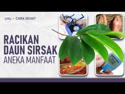 Racikan Daun Sirsak untuk Hipertensi, Asam Urat, Kolesterol, Diabetes | Hidup Sehat tvOne
