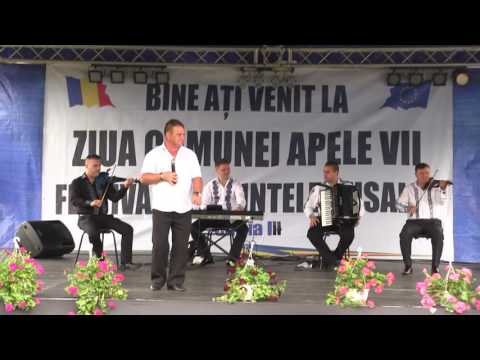 Fanel de la Marotinu - Ziua com. Apele-Vii Colaj Live de muzica de petrecere III