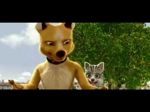 Romeu o vira lata atrapalhado