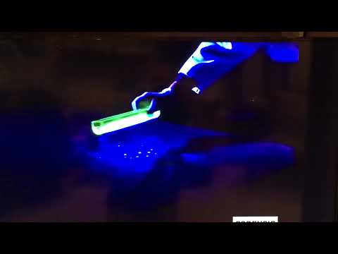 Forensic Files - "That's a lot of semen stains" (Dr. Henry Lee)