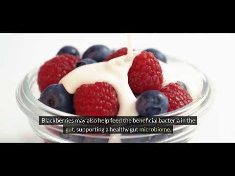 Bramble Ramble: Foraging for Wild Blackberries