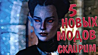 SKYRIM 5 НОВЫХ МОДОВ