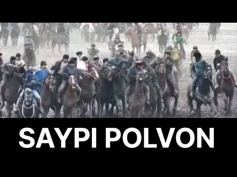 SAYPI POLVON 31.01.2026 MUSTANG MAYDONI 