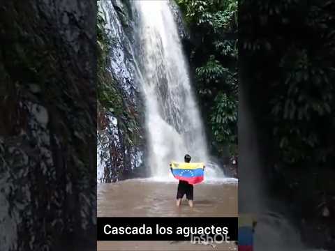 Cascada los aguacates #carabobo #mariara #sanjoaquín  #cascadas #maracay #lago #valencia #nature