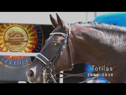 Totilas, Tribute 2, Kentucky 2010