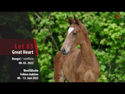 Fohlen-Auktion Lot 05 Great Heart Hengst v. Grandorado TN - Cassini II