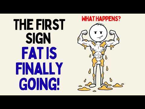 What Happens When Visceral Fat Finally Starts to Break Down? (Science Explained)