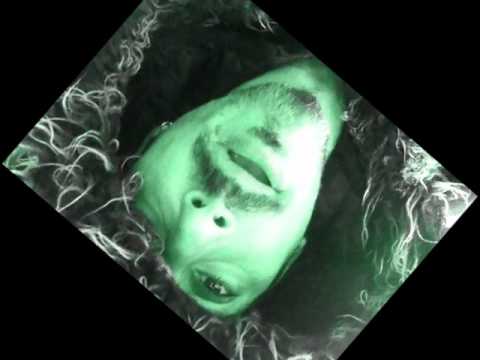 Primate Poet - Turning Around