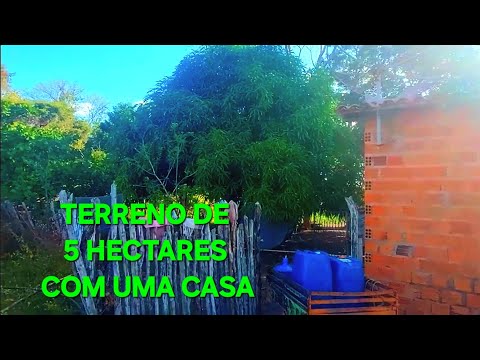 TERRENO DE 5 HECTARES CERCADA COM UMA CASA NA ESTRADA DA CACHOEIRA DO URUBU ESPERANTINA PIAUÍ