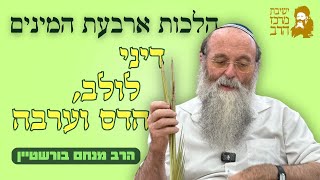 הרב מנחם בורשטיין | סוכות | דיני לולב, הדס וערבה | ח' תשרי תשפ"ו | ישיבת מרכז הרב (ישיבת מרכז הרב) - התמונה מוצגת ישירות מתוך אתר האינטרנט יוטיוב. זכויות היוצרים בתמונה שייכות ליוצרה. קישור קרדיט למקור התוכן נמצא בתוך דף הסרטון הרב מנחם בורשטיין | סוכות | דיני לולב, הדס וערבה | ח' תשרי תשפ"ו | ישיבת מרכז הרב (ישיבת מרכז הרב) - התמונה מוצגת ישירות מתוך אתר האינטרנט יוטיוב. זכויות היוצרים בתמונה שייכות ליוצרה. קישור קרדיט למקור התוכן נמצא בתוך דף הסרטון